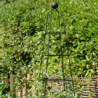 Spaljé Pyramid Wire Obelisks black, medium